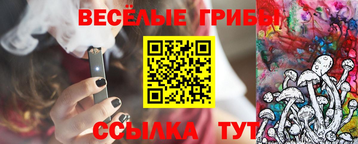 Кимры  Галлюциногенные грибы мицелий  Вход с VPN 