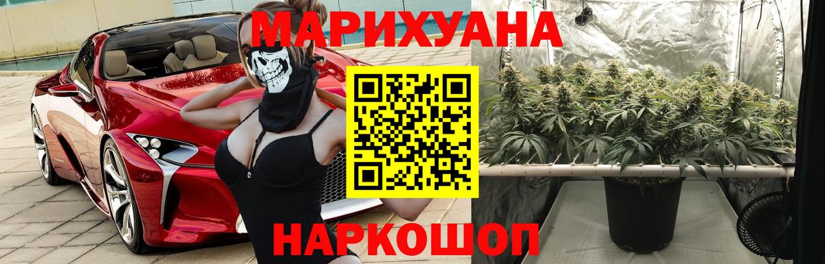 Бошки марихуана план  Вход с VPN  Кимры  Каннабис VHQ  Бошки марихуана тримм 
